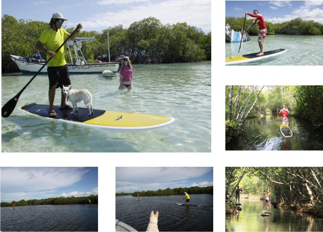 paddle parguera